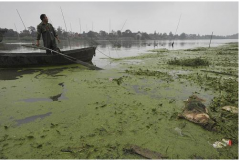 ���պϷʵġ�ĸ�H�ӡ����Ǻӱ���Ⱦ���أ��D��