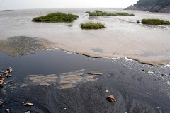 中天恒遠讓“垃圾滲透液”不再可怕 中天恒遠讓“垃圾滲透液”不再可怕