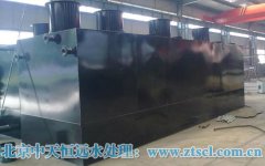 2010ˮ̎��չ��