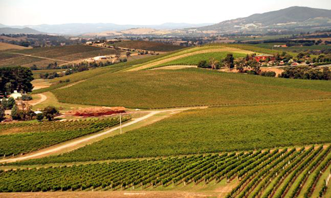 �V��İĴ������l��