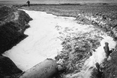 2014���S�ӺӶΣ�һ�����χ�����Ⱦ���D�ģ�