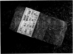 �����ƴu���g