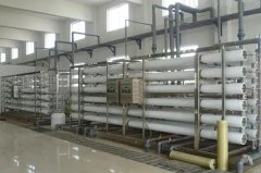 RO�b����ʲô